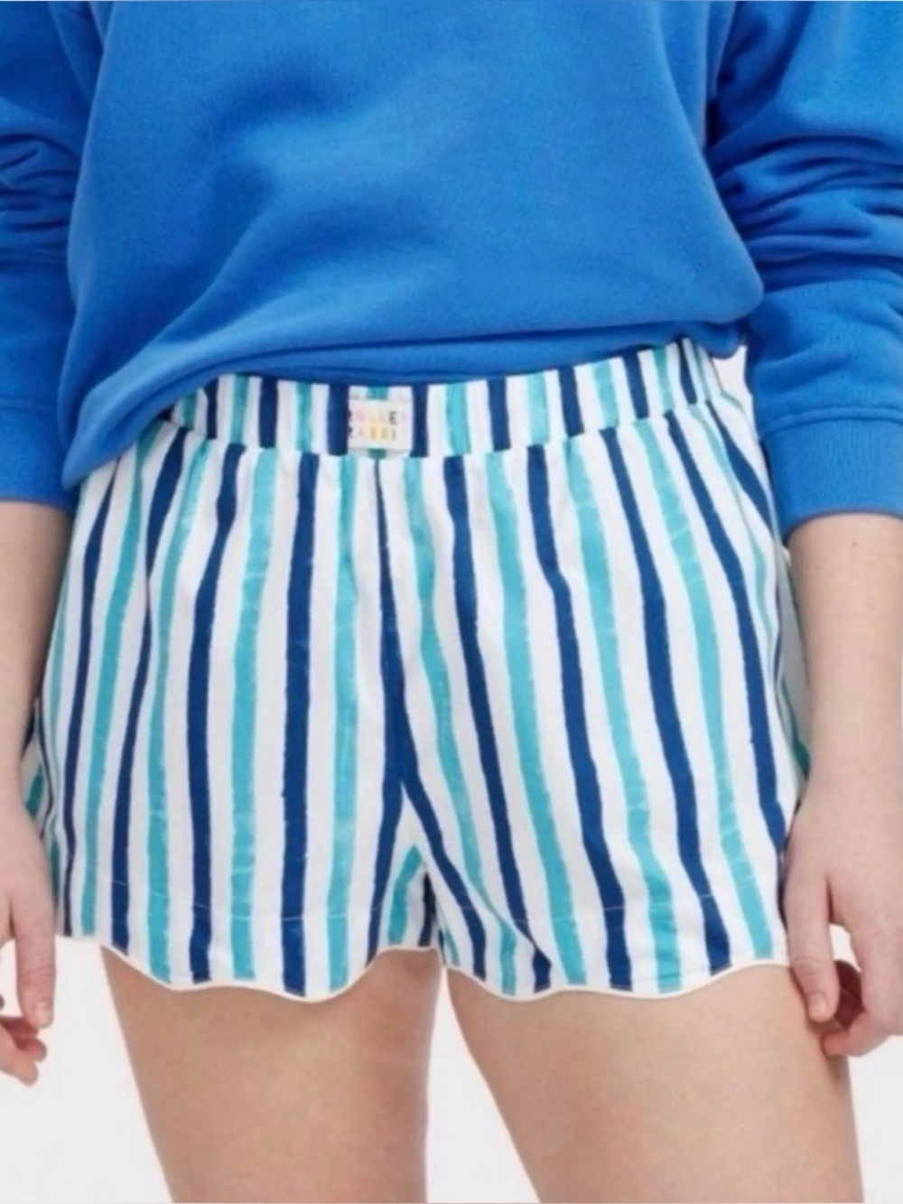 Roller Rabbit x Target Collab Shorts Small Blue Striped